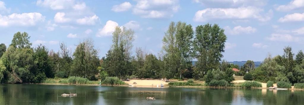 Wohnen-Auf-Zeit-Am-See Villa Großostheim Bagian luar foto