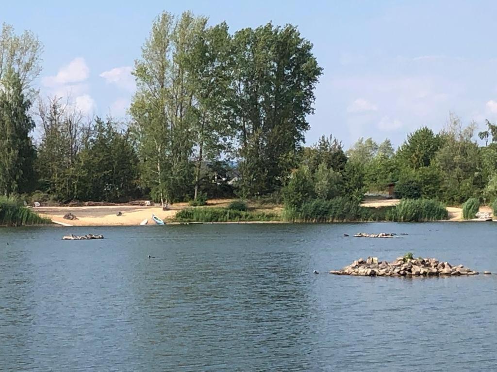 Wohnen-Auf-Zeit-Am-See Villa Großostheim Bagian luar foto