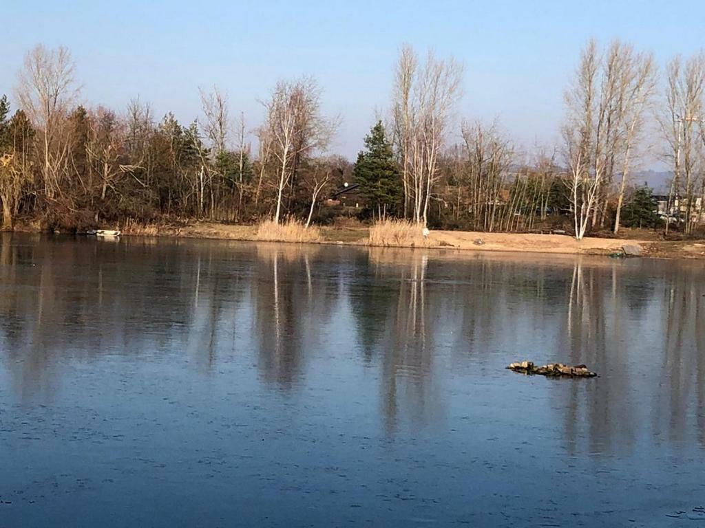 Wohnen-Auf-Zeit-Am-See Villa Großostheim Bagian luar foto