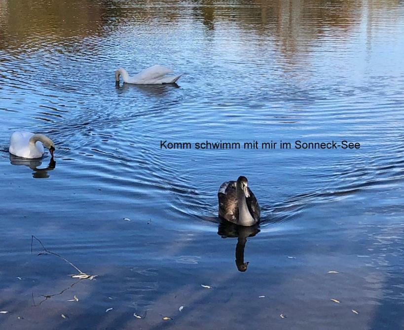 Wohnen-Auf-Zeit-Am-See Villa Großostheim Bagian luar foto